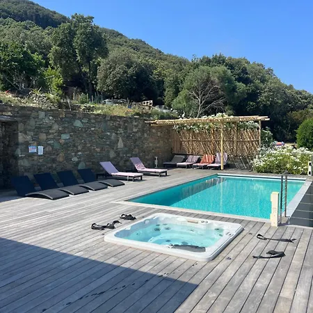 Architecte U Paradisu Pino