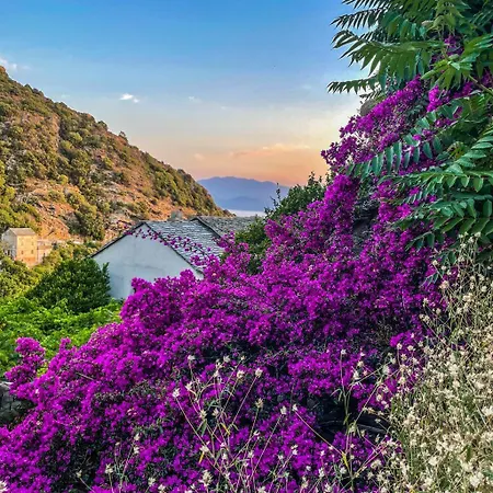 Villa Architecte U Paradisu *