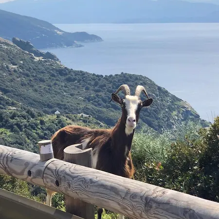 Villa Architecte U Paradisu *