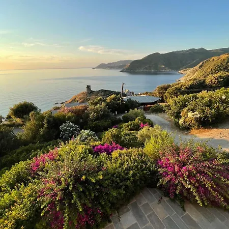 Architecte U Paradisu * Pino