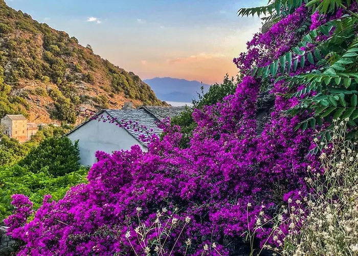 Villa Architecte U Paradisu *