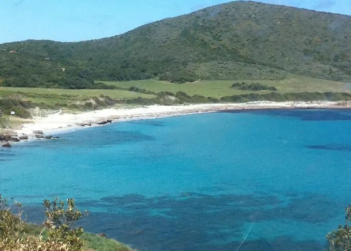 Architecte U Paradisu * Pino