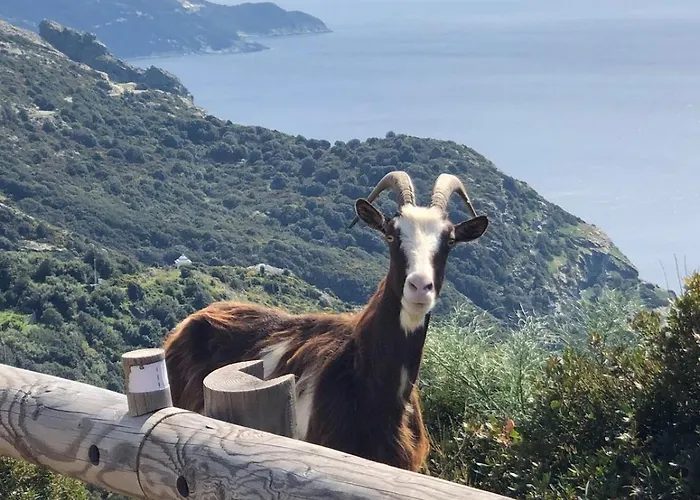 Villa Architecte U Paradisu *