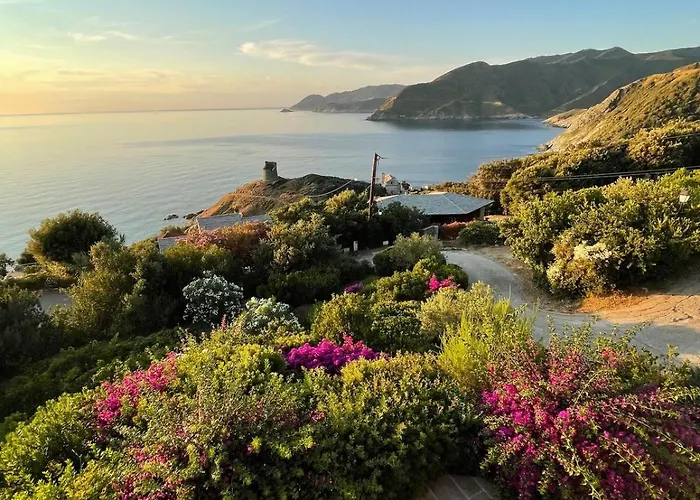 Architecte U Paradisu * Pino